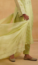 将图像加载到图库查看器中， Women's Lucknowi Handcrafted Pure Organza Silk Stitched Chikankari Kurta, Dupatta With Pant Set- HONC06548565
