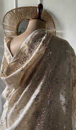 Load image into Gallery viewer, Women's Lakhnavi Handcrafted Munga Silk Chikankari Saree - HONC0353050