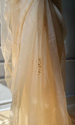 Load image into Gallery viewer, Amna Women&#39;s Lucknowi Handcrafted Pure Organza Silk Chikankari Saree - HONC0297165
