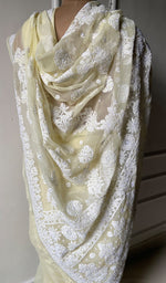 Load image into Gallery viewer, Women&#39;s Lakhnavi Handcrafted Faux-Georgette Chikankari Saree - HONC0228969
