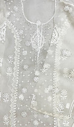 将图像加载到图库查看器中， Lucknowi Handcrafted Pure Organza Silk Chikankari Semi-Stitched Kurti Fabric - HONC0215644
