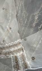 将图像加载到图库查看器中， Women's Lakhnavi Handcrafted Pure Organza Chikankari Semi - stitched Kurta And Dupatta Set- HONC0331141