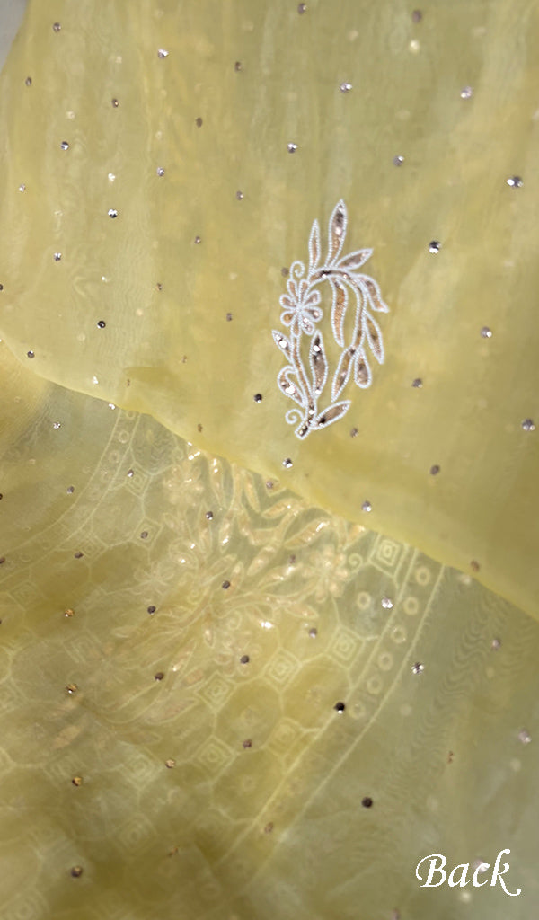 Women's Lakhnavi Handcrafted Pure Organza Chikankari Unstitched Kurta And Dupatta Set- HONC0314317