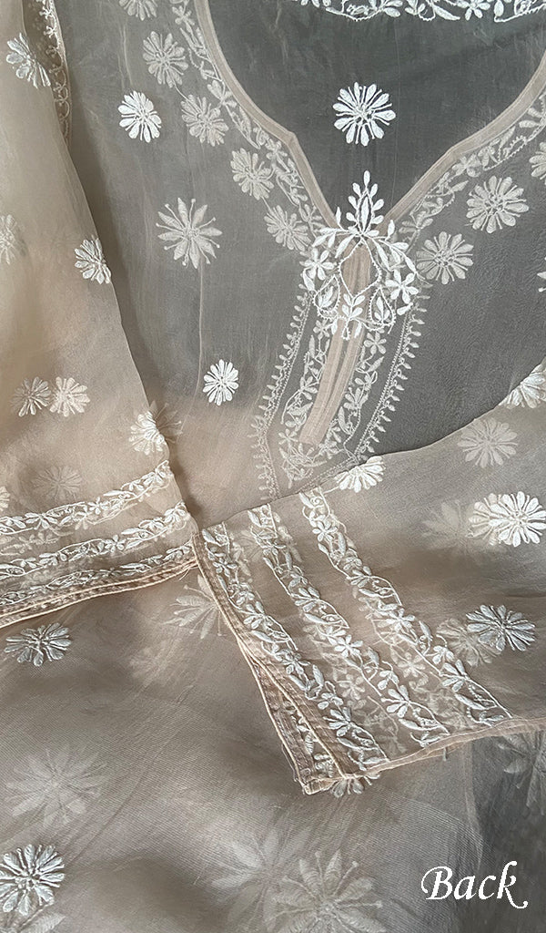 Women's Lakhnavi Handcrafted Pure Organza Chikankari Semi stitched Kurta And Dupatta Set- HONC0348611