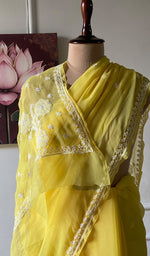 将图像加载到图库查看器中， Women's Lucknowi Handcrafted Faux-Georgette Chikankari Saree - HONC0311920