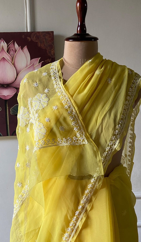 Women's Lucknowi Handcrafted Faux-Georgette Chikankari Saree - HONC0311920
