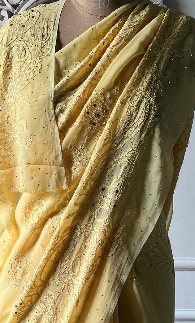 Women's Lakhnavi Handcrafted Viscose Georgette Chikankari Saree - HONC0317908