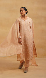将图像加载到图库查看器中， Women's Lucknowi Handcrafted Pure Organza Silk Stitched Chikankari Kurta, Dupatta With Pant Set- HONC054558