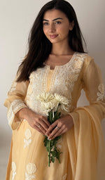将图像加载到图库查看器中， Rose Women's Lucknowi Handcrafted Pure Organza Silk Stitched Chikankari Kurta, Dupatta With Pant Set- HONC0339014