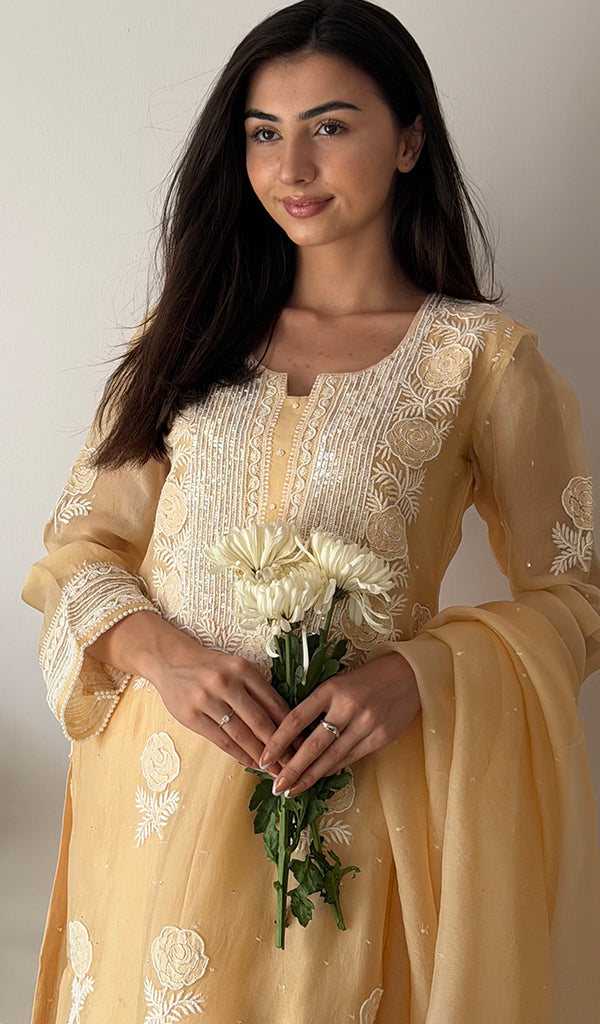 Rose Women's Lucknowi Handcrafted Pure Organza Silk Stitched Chikankari Kurta, Dupatta With Pant Set- HONC0339014