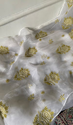 将图像加载到图库查看器中， Women's Lakhnavi Handcrafted Pure Organza Chikankari Semi - Stitched  Kurta And Dupatta Set- HONC0341493