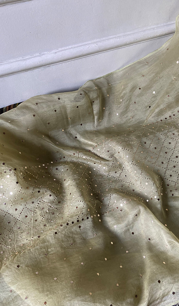 Women's Lucknowi Handcrafted Pure Organza Silk Chikankari Semi- stitched Kurta Dupatta Set- HONC0334803