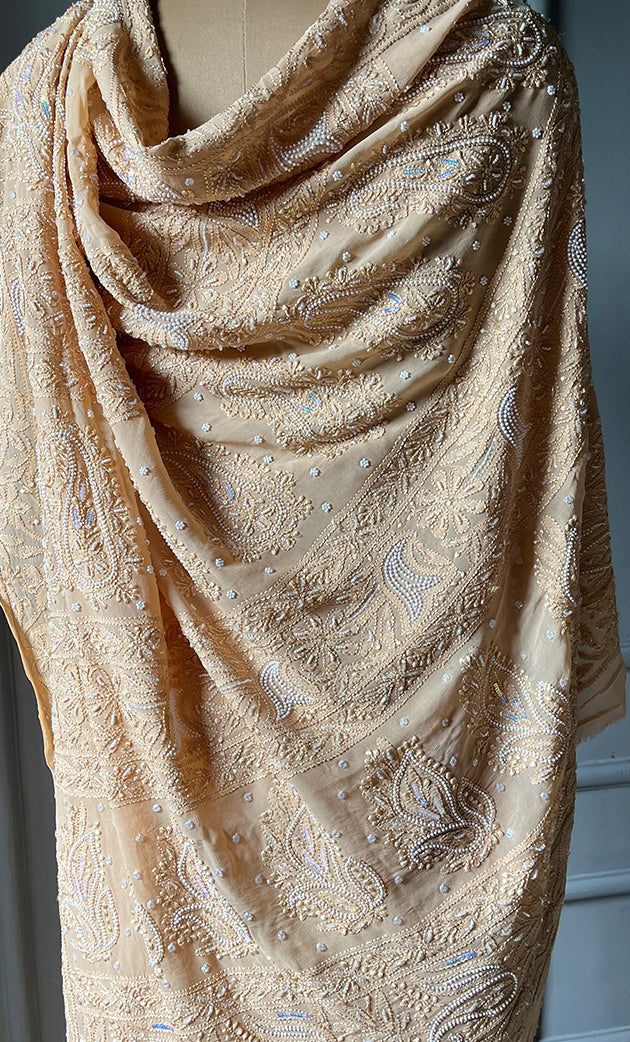 Women's Lakhnavi Handcrafted Viscose Georgette Chikankari Saree - HONC0290057
