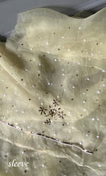 Load image into Gallery viewer, Women&#39;s Lakhnavi Handcrafted Pure Organza Chikankari Unstitched Kurta And Dupatta Set- HONC0300625
