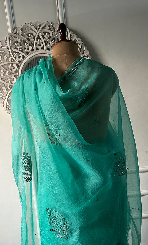 Women's Lucknowi Handcrafted Pure Organza Silk Chikankari Saree - HONC0321769