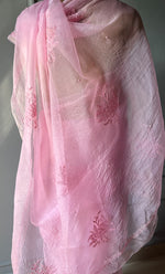 Load image into Gallery viewer, Amna Women&#39;s Lucknowi Handcrafted Pure Organza Silk Chikankari Saree - HONC0283191
