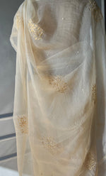 Load image into Gallery viewer, Amna Women&#39;s Lucknowi Handcrafted Pure Organza Silk Chikankari Saree - HONC0297165
