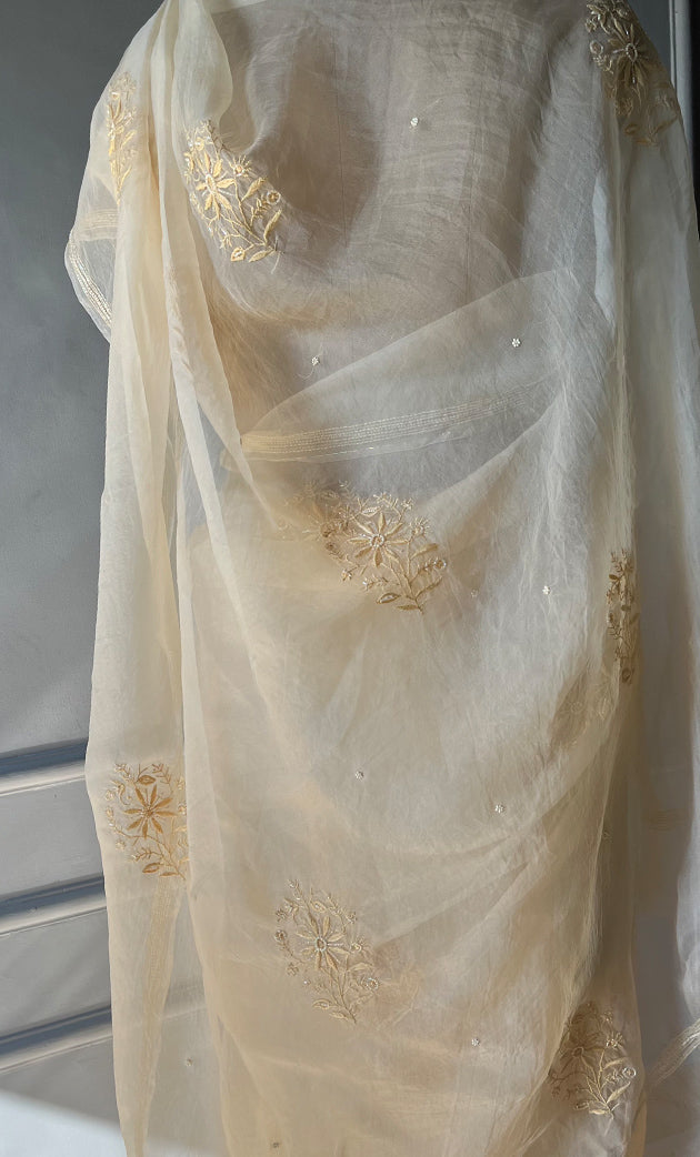 Amna Women's Lucknowi Handcrafted Pure Organza Silk Chikankari Saree - HONC0297165