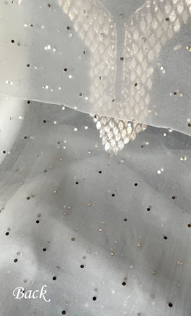 Alfia Women's Lakhnavi Handcrafted Pure Organza Chikankari Unstitched Kurta And Dupatta Set- HONC0326234