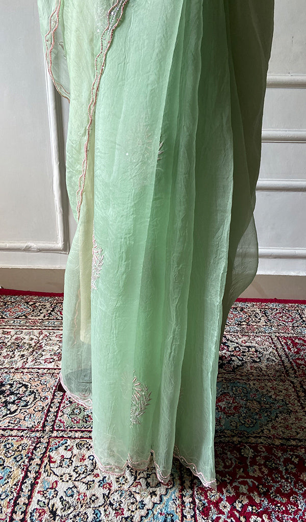 Women's Lucknowi Handcrafted Pure Organza Silk Chikankari Saree - HONC0356072