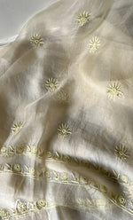 将图像加载到图库查看器中， Women&#39;s Lakhnavi Handcrafted Pure Organza Chikankari Unstitched Kurta And Dupatta Set- HONC0263886
