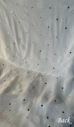Load image into Gallery viewer, Women&#39;s Lucknowi Handcrafted Viscose Georgette Chikankari Kurta Dupatta Set- HONC0279077
