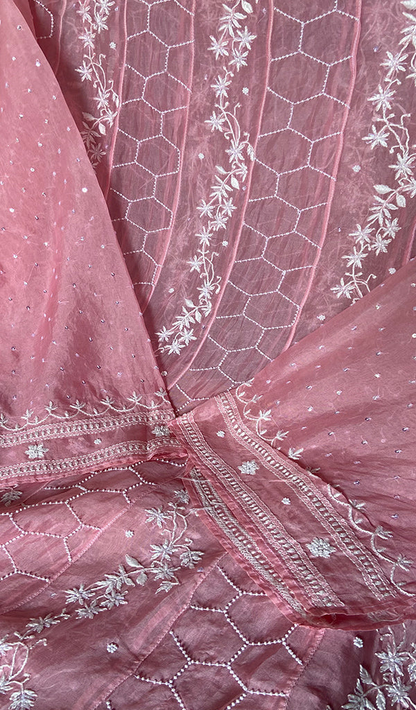 Eshani Women's Lucknowi Handcrafted Pure Organza Silk Chikankari Semi- stitched Anarkali Dupatta Set- HONC0362217