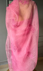 Load image into Gallery viewer, Women&#39;s Lucknowi Handcrafted Pure Organza Silk Chikankari Saree - HONC0273030
