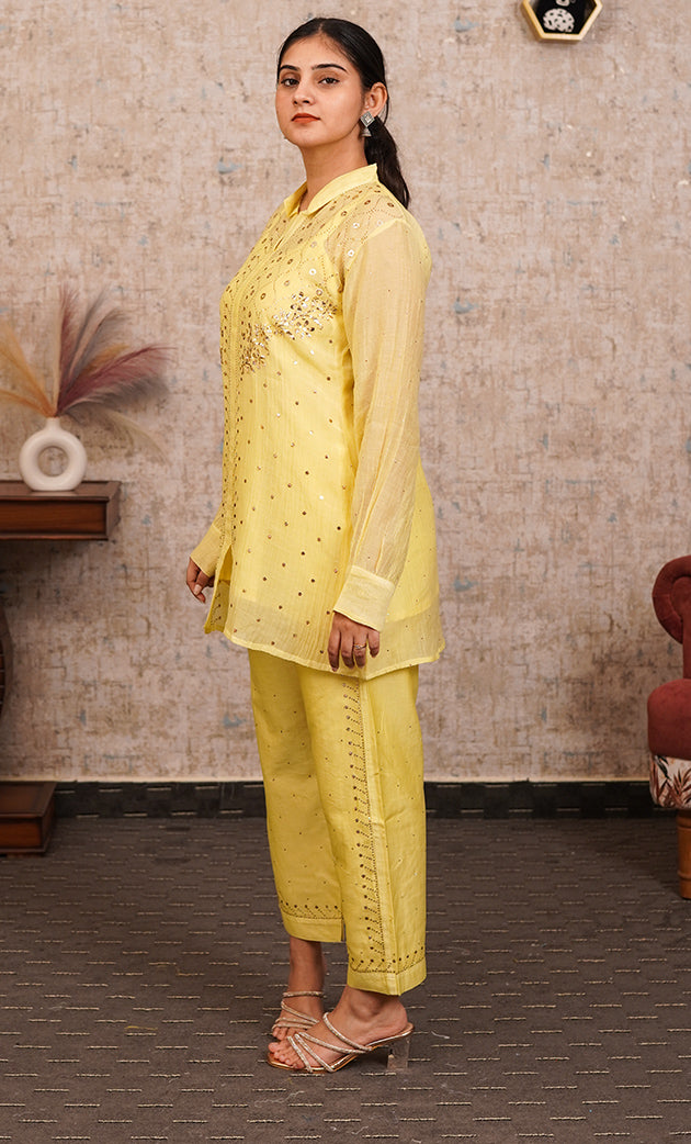 Women's Lucknowi Handcrafted Mul Chanderi Stitched Chikankari Kurta And Plazzo Set- HONC0318573