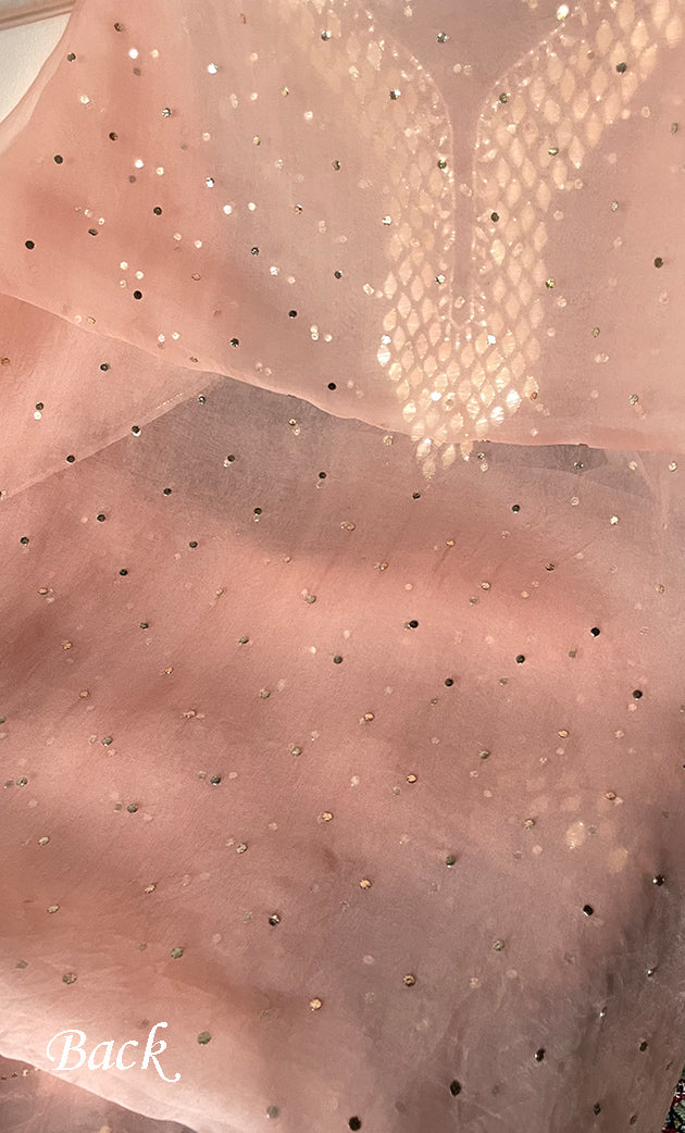 Alfia Women's Lakhnavi Handcrafted Pure Organza Chikankari Unstitched Kurta And Dupatta Set- HONC0786056