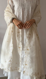 将图像加载到图库查看器中， Women's Lucknowi Handcrafted Pure Organza Silk Chikankari Dupatta - HONC0380139