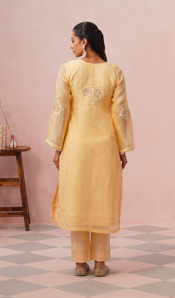 Women's Lucknowi Handcrafted Pure Organza Silk Stitched Chikankari Kurta, Dupatta With Pant Set- HONC04464644