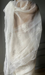 Load image into Gallery viewer, Women&#39;s Lucknowi Handcrafted Pure Organza Silk Chikankari Saree - HONC0295371
