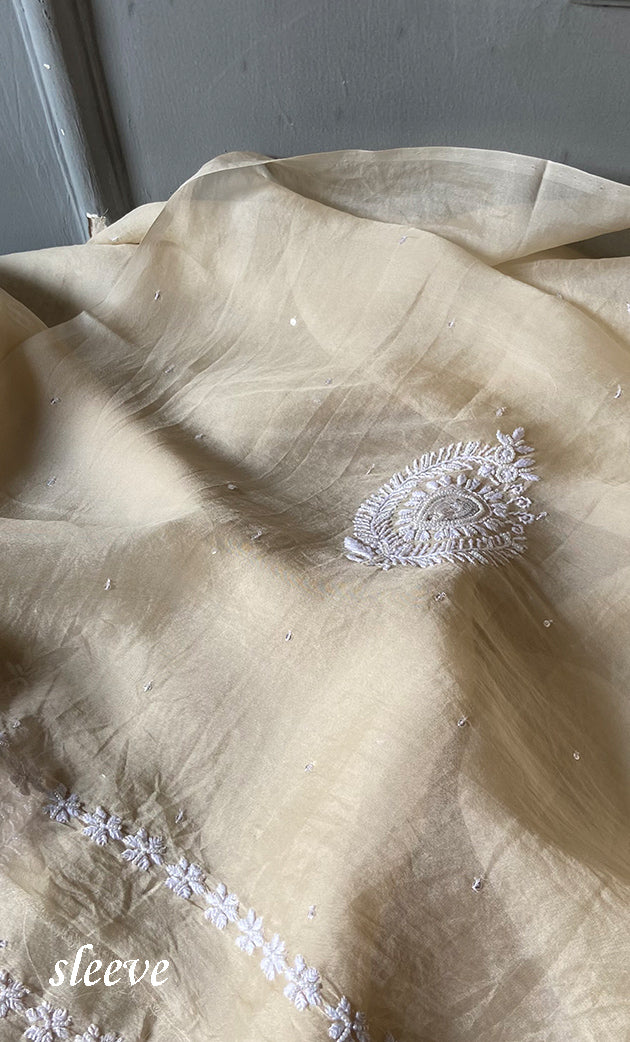 Women's Lakhnavi Handcrafted Pure Organza Chikankari Unstitched Kurta And Dupatta Set- HONC0304149
