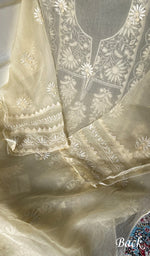 将图像加载到图库查看器中， Women's Lakhnavi Handcrafted Pure Organza Chikankari Semi - stitched Kurta And Dupatta Set- HONC0310094