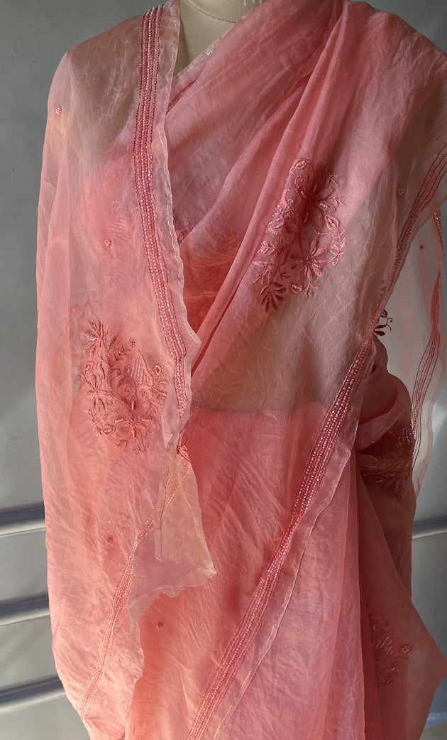 Amna Women's Lucknowi Handcrafted Pure Organza Silk Chikankari Saree - HONC0283197