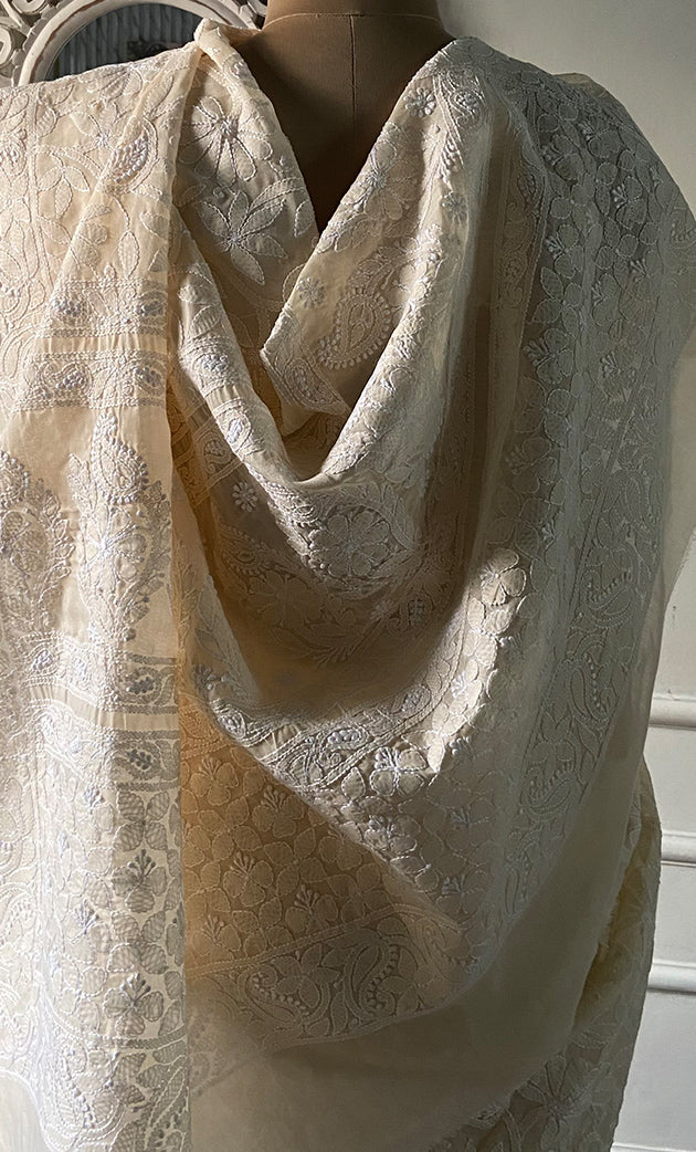 Women's Lakhnavi Handcrafted Cotton Chikankari Saree - HONC0317302