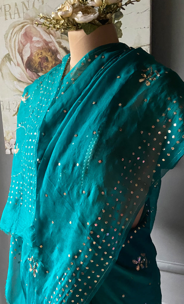 Women's Lucknowi Handcrafted Pure Organza Silk Chikankari Saree - HONC0307594