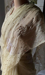 Load image into Gallery viewer, Women&#39;s Lucknowi Handcrafted Pure Organza Silk Chikankari Saree - HONC0271152
