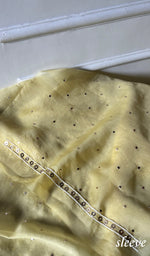 Load image into Gallery viewer, Women's Lakhnavi Handcrafted Pure Organza Chikankari Unstitched Kurta And Dupatta Set- HONC0314317