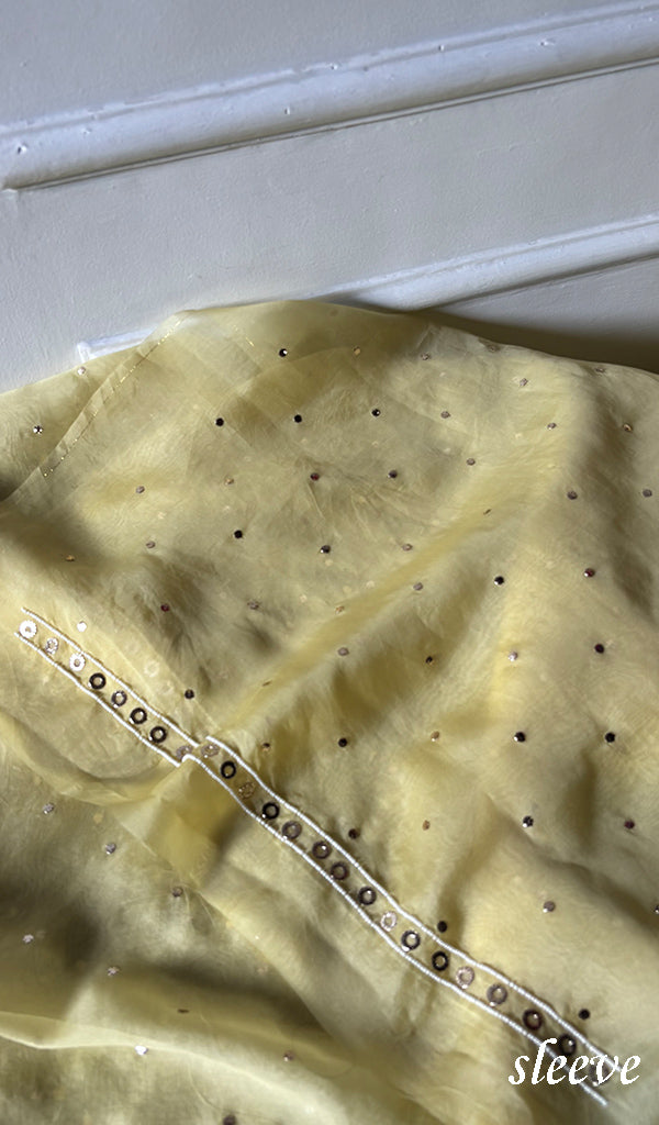 Women's Lakhnavi Handcrafted Pure Organza Chikankari Unstitched Kurta And Dupatta Set- HONC0314317