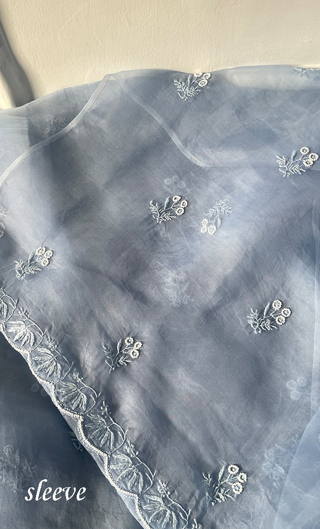 Women's Lakhnavi Handcrafted Pure Organza Chikankari Unstitched Kurta And Dupatta Set- HONC0314165