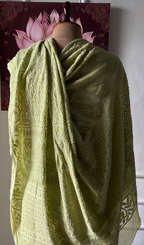 Women's Lakhnavi Handcrafted Viscose Georgette Chikankari Saree - HONC0337524