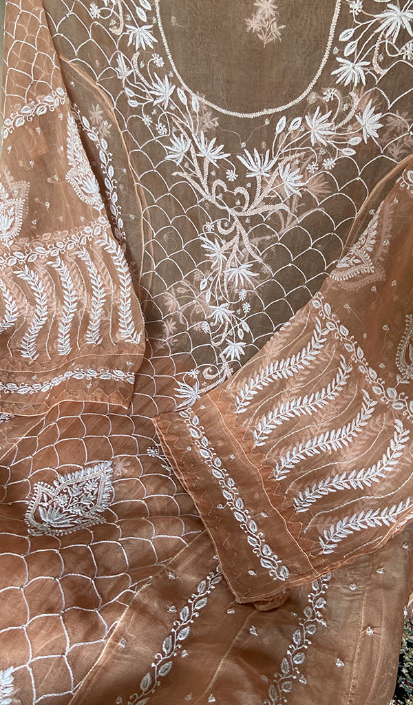 Women's Lakhnavi Handcrafted Pure Organza Chikankari Semi - Stitched Kurta And Dupatta Set- HONC0310093