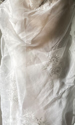 Load image into Gallery viewer, Women&#39;s Lucknowi Handcrafted Pure Organza Silk Chikankari Saree - HONC0321035
