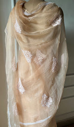 Load image into Gallery viewer, Women&#39;s Lucknowi Handcrafted Pure Organza Silk Chikankari Saree - HONC0280965

