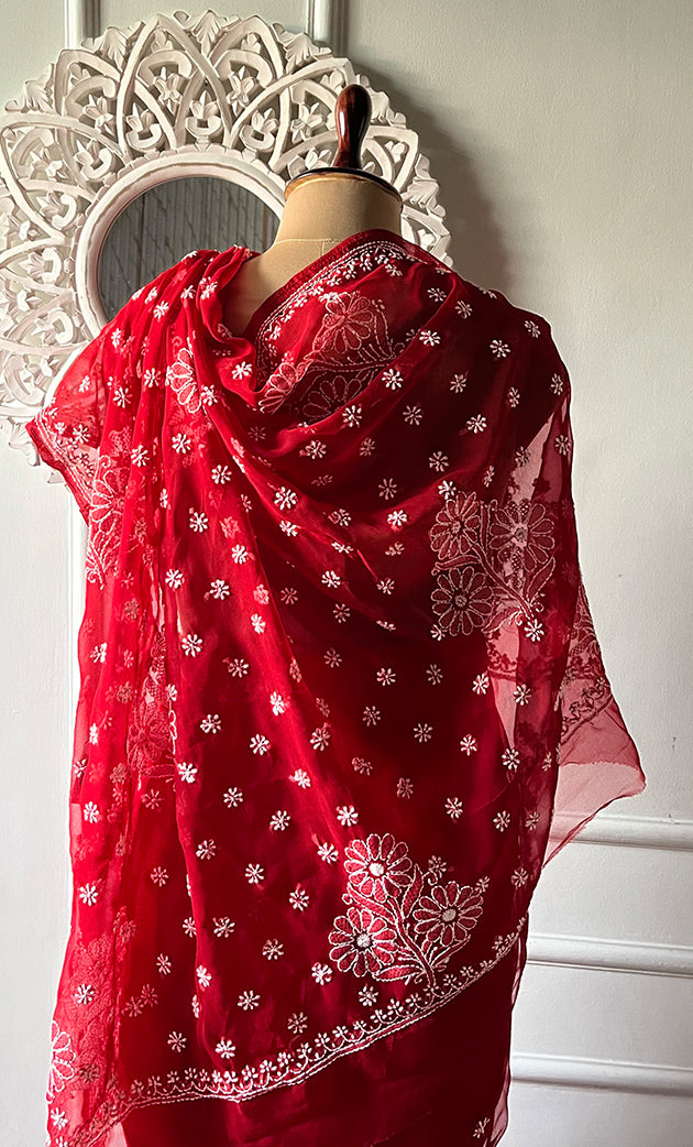 Women's Lucknowi Handcrafted  Faux-Georgette Chikankari Saree - HONC0311919