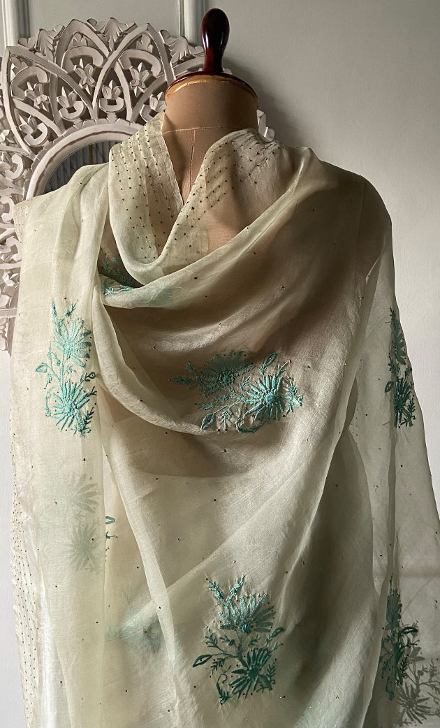 Women's Lucknowi Handcrafted Pure Organza Silk Chikankari Saree - HONC0296104