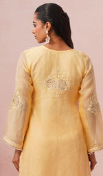 Load image into Gallery viewer, Women's Lucknowi Handcrafted Pure Organza Silk Stitched Chikankari Kurta, Dupatta With Pant Set- HONC04464644