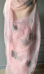 Load image into Gallery viewer, Amna Women&#39;s Lucknowi Handcrafted Pure Organza Silk Chikankari Saree - HONC0294413
